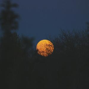 曰批全过程免费视频在线观看网站
