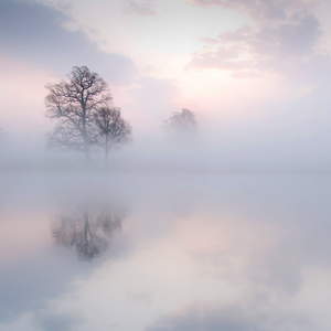 曰批全过程免费视频在线观看网站
