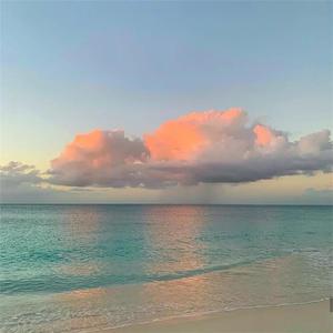 曰批全过程免费视频在线观看网站
